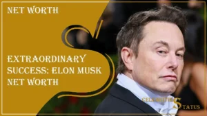 Read more about the article Extraordinary Success: Elon Musk Net Worth